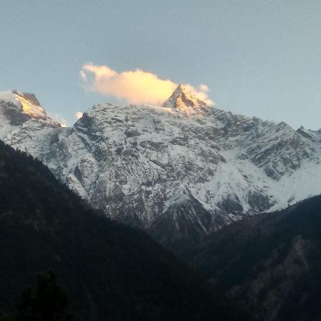 Wanderers Homestay -All Mountain Facing Rooms Kalpa Exterior foto