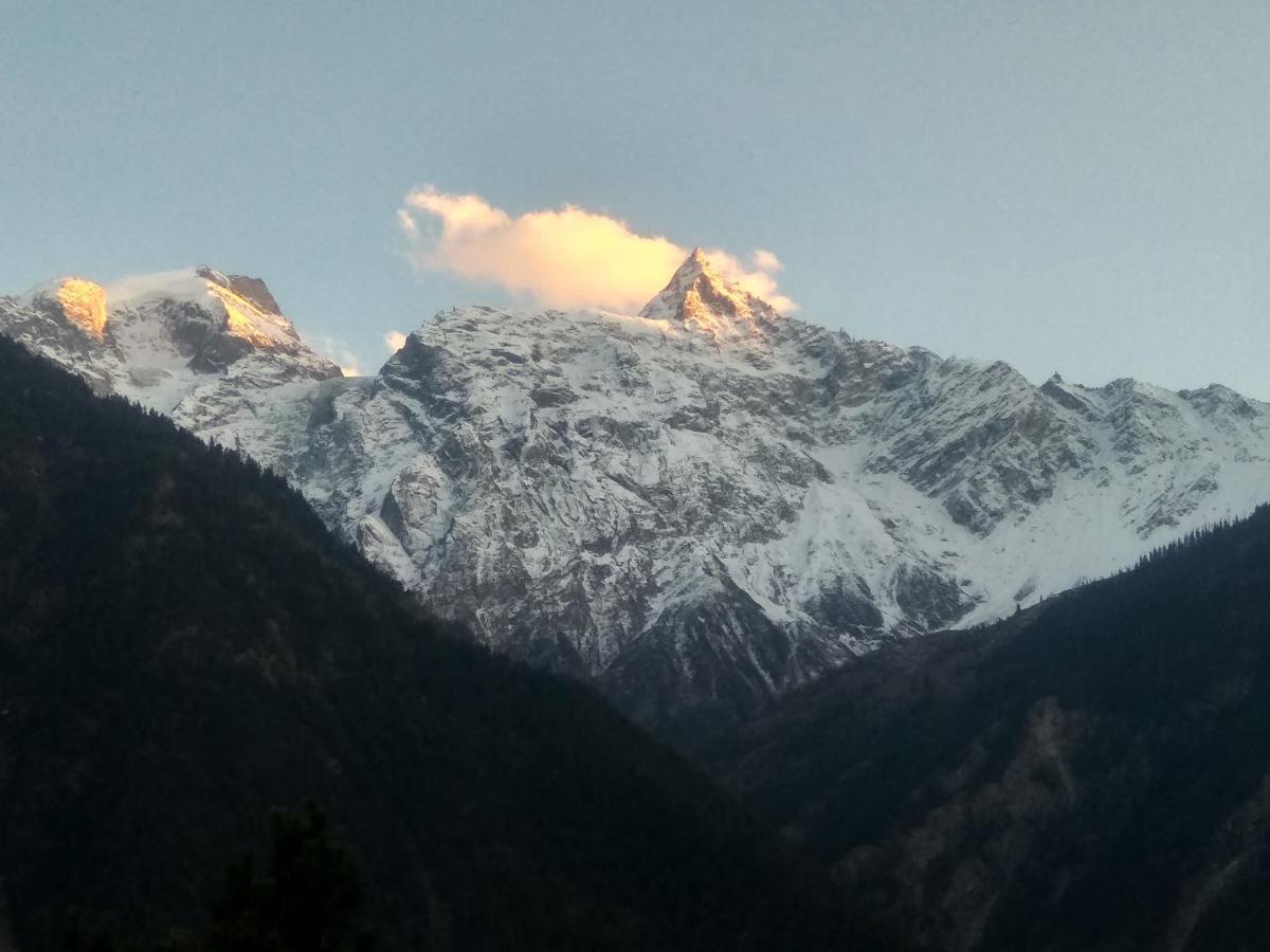 Wanderers Homestay -All Mountain Facing Rooms Kalpa Exterior foto