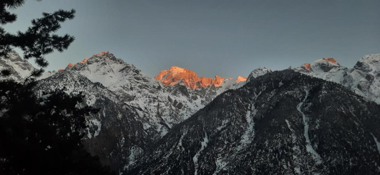 Wanderers Homestay -All Mountain Facing Rooms Kalpa Exterior foto