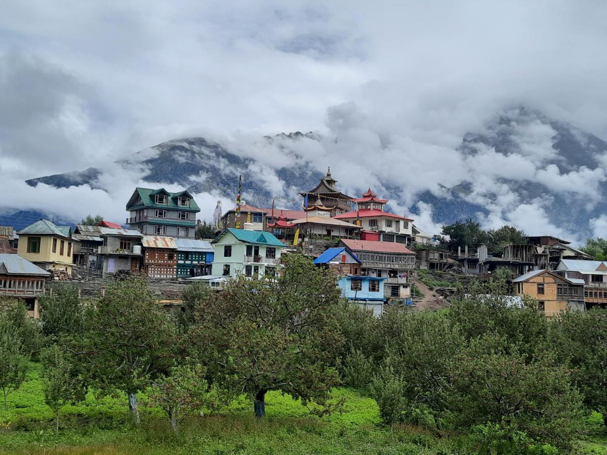 Wanderers Homestay -All Mountain Facing Rooms Kalpa Exterior foto