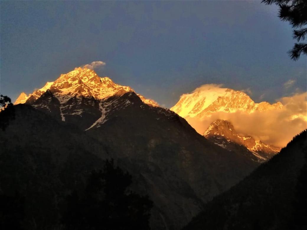 Wanderers Homestay -All Mountain Facing Rooms Kalpa Exterior foto